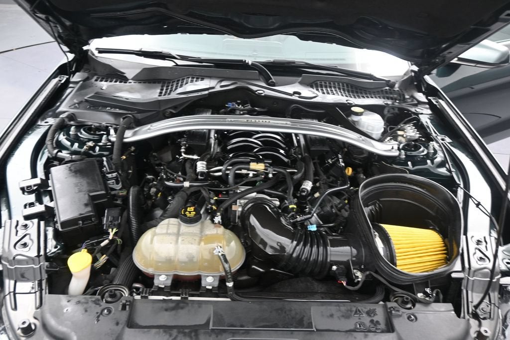2019 Ford Mustang Bullitt