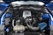 2021 Ford Mustang Shelby GT500 Fastback