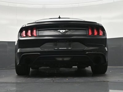 2022 Ford Mustang EcoBoost