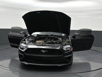 2022 Ford Mustang EcoBoost