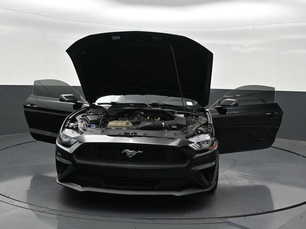2022 Ford Mustang EcoBoost