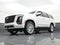 2025 Cadillac Escalade Luxury