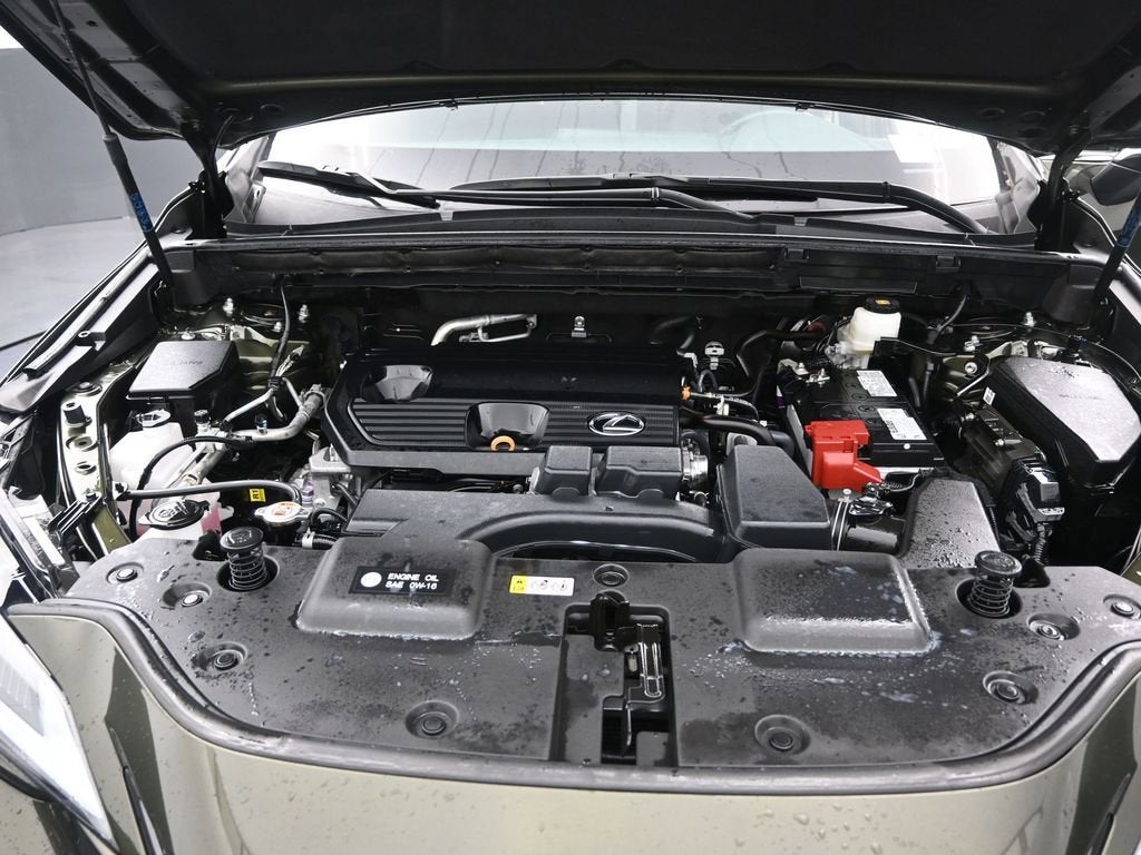 2024 Lexus NX NX 250