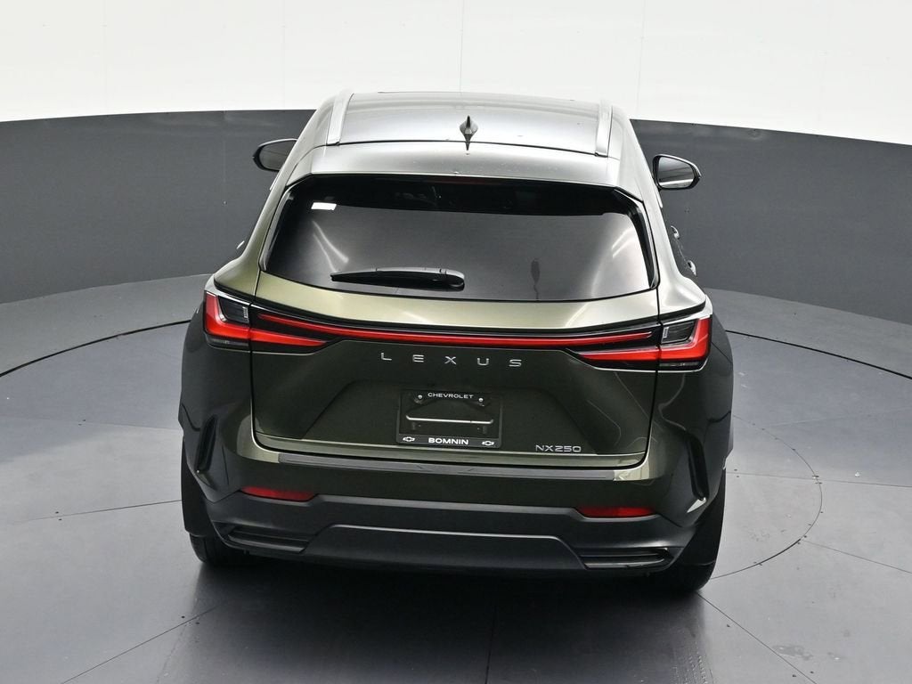 2024 Lexus NX NX 250