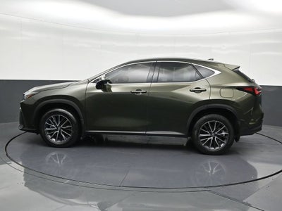 2024 Lexus NX NX 250