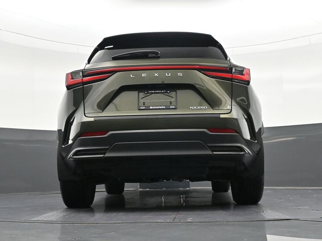 2024 Lexus NX NX 250
