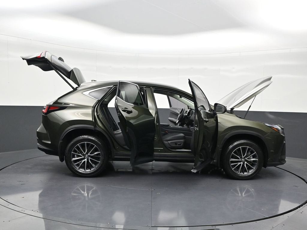 2024 Lexus NX NX 250