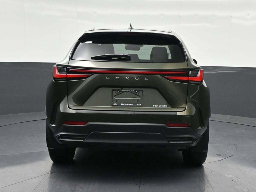 2024 Lexus NX NX 250
