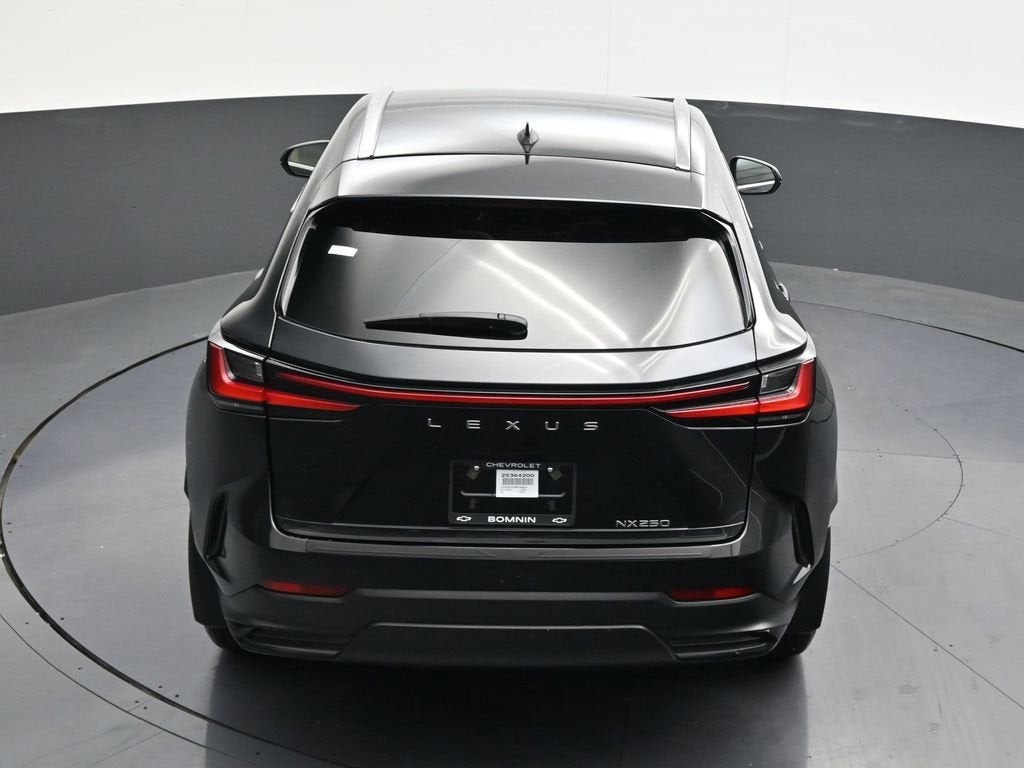 2025 Lexus NX NX 250