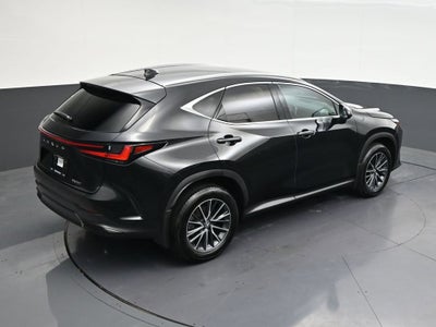 2025 Lexus NX NX 250