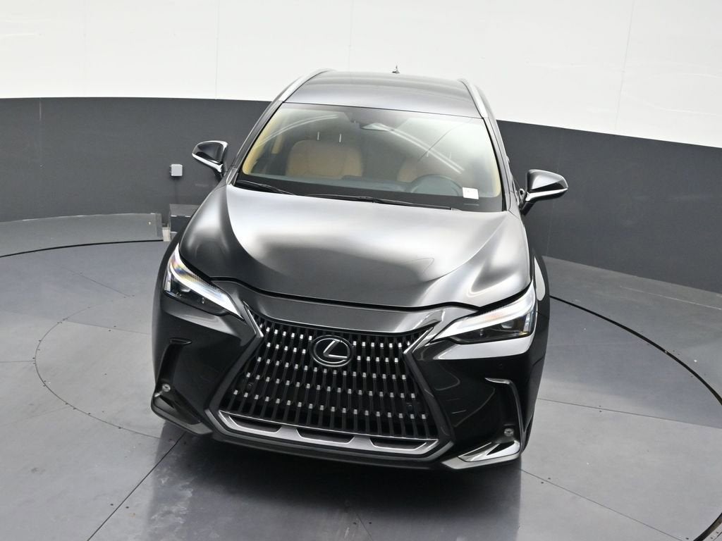 2025 Lexus NX NX 250