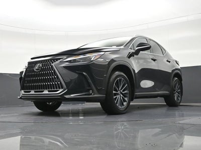 2025 Lexus NX NX 250