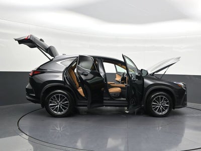 2025 Lexus NX NX 250