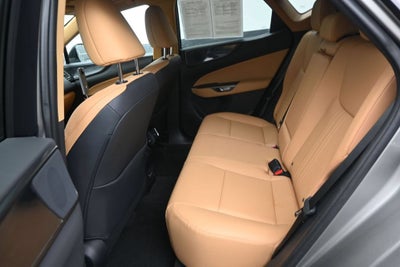 2024 Lexus NX 250 Premium