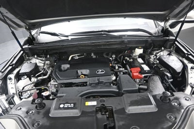 2024 Lexus NX 250 Premium