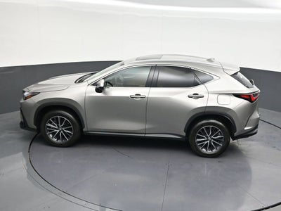 2024 Lexus NX 250 Premium