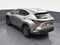 2024 Lexus NX 250 Premium