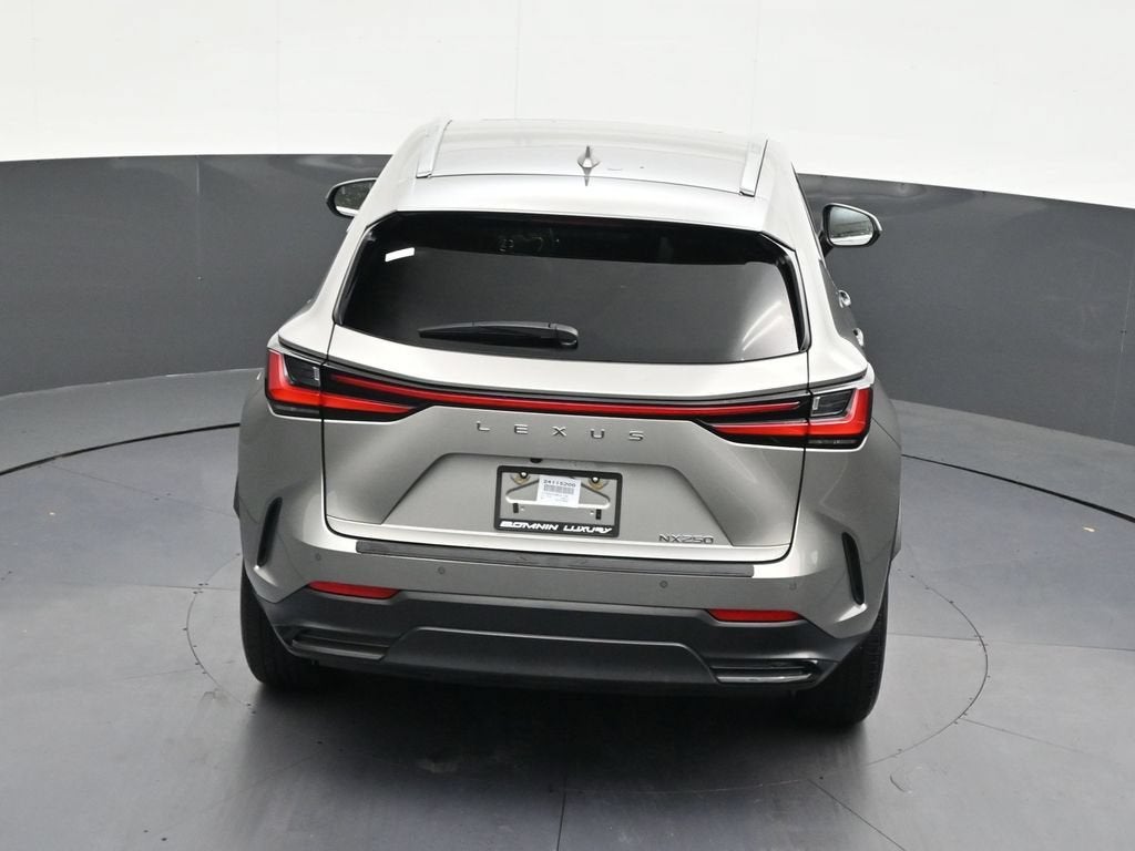 2024 Lexus NX 250 Premium