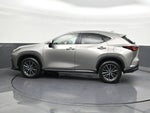 2024 Lexus NX 250 Premium