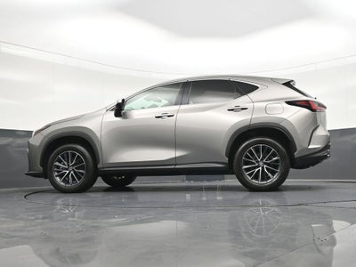 2024 Lexus NX 250 Premium