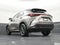2024 Lexus NX 250 Premium
