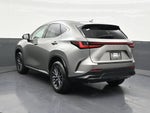 2024 Lexus NX 250 Premium