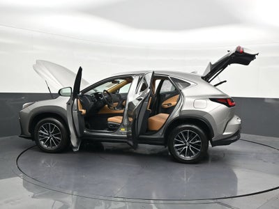 2024 Lexus NX 250 Premium