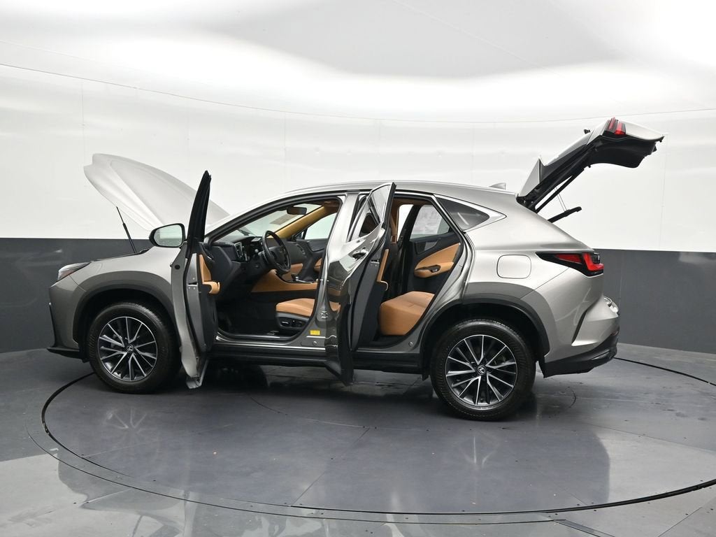 2024 Lexus NX 250 Premium