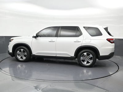 2024 Honda Pilot EX-L 7 Passenger