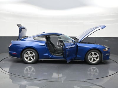 2022 Ford Mustang EcoBoost