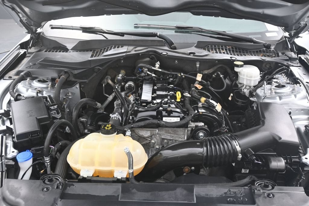 2022 Ford Mustang EcoBoost Fastback