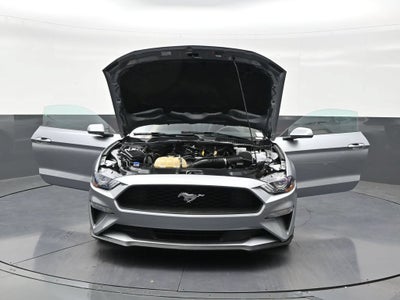 2022 Ford Mustang EcoBoost Fastback