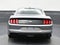 2022 Ford Mustang EcoBoost Fastback