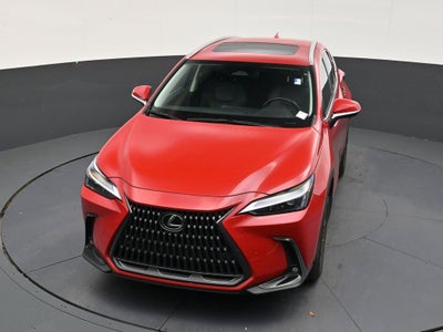 2025 Lexus NX 250 Premium
