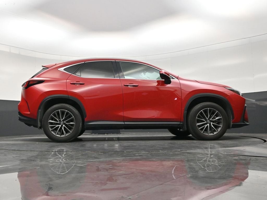 2025 Lexus NX 250 Premium