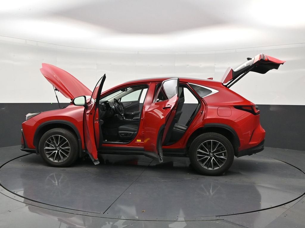 2025 Lexus NX 250 Premium