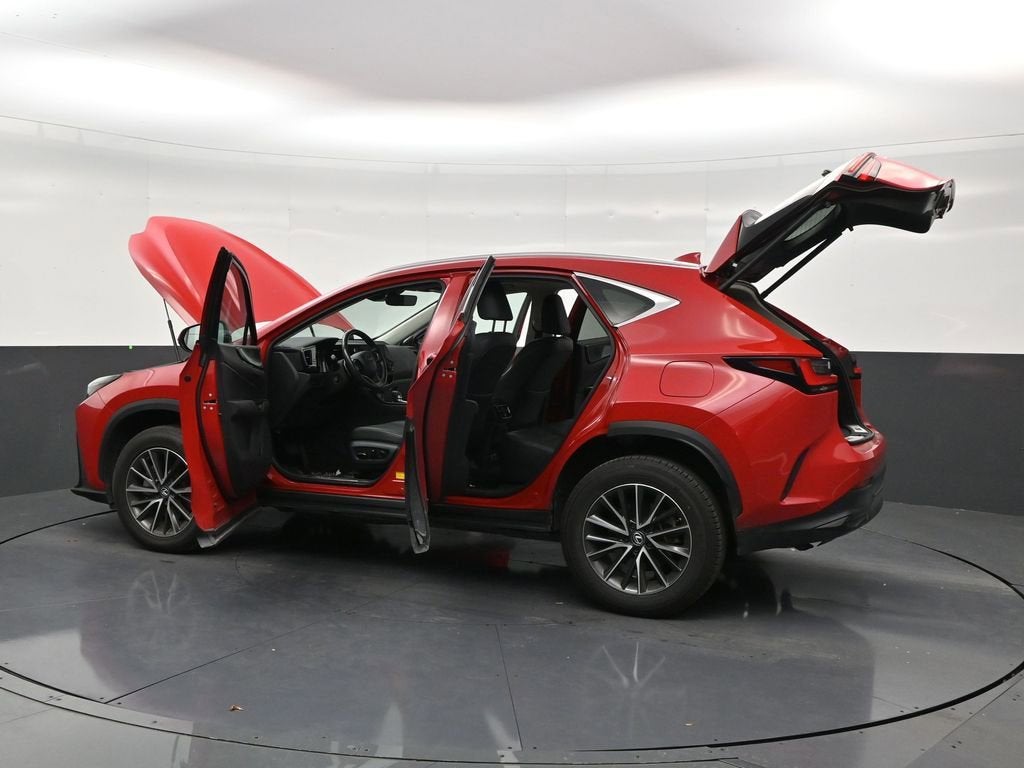 2025 Lexus NX 250 Premium