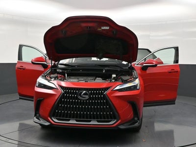 2025 Lexus NX 250 Premium