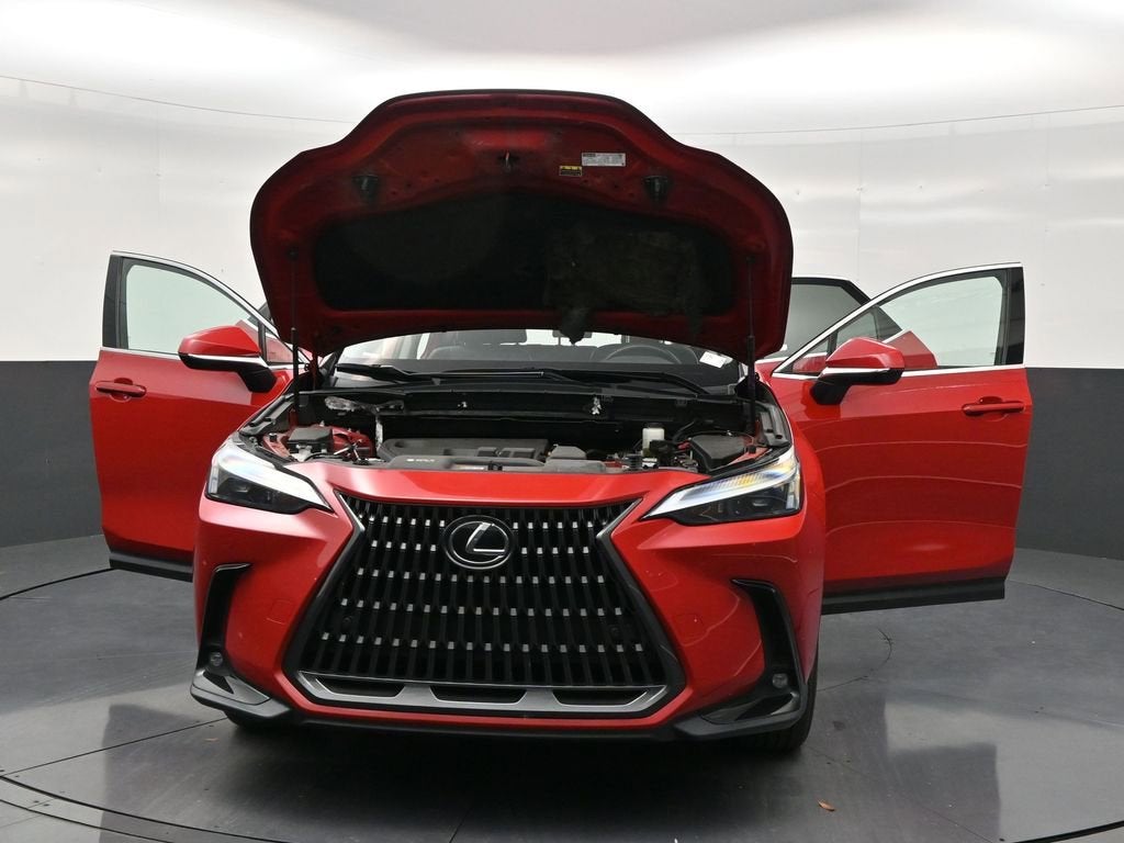 2025 Lexus NX 250 Premium