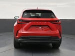 2025 Lexus NX 250 Premium