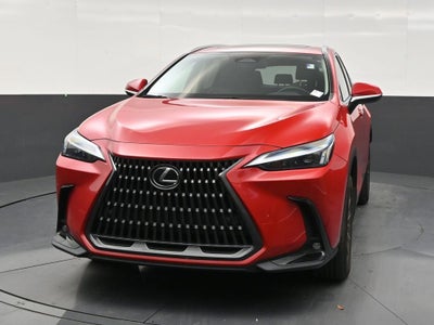 2025 Lexus NX 250 Premium
