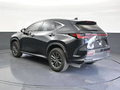 2025 Lexus NX 350 Premium