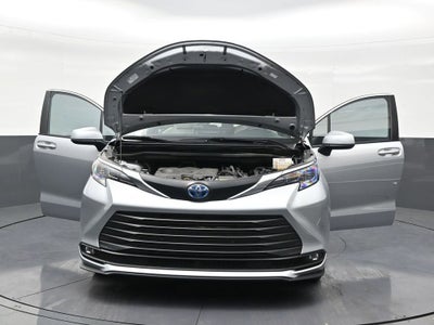 2025 Toyota Sienna XLE