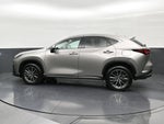 2025 Lexus NX 250 NX 250