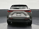 2025 Lexus NX 250 NX 250