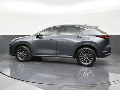 2023 Lexus NX 250 NX 250