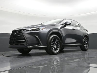 2023 Lexus NX 250 NX 250