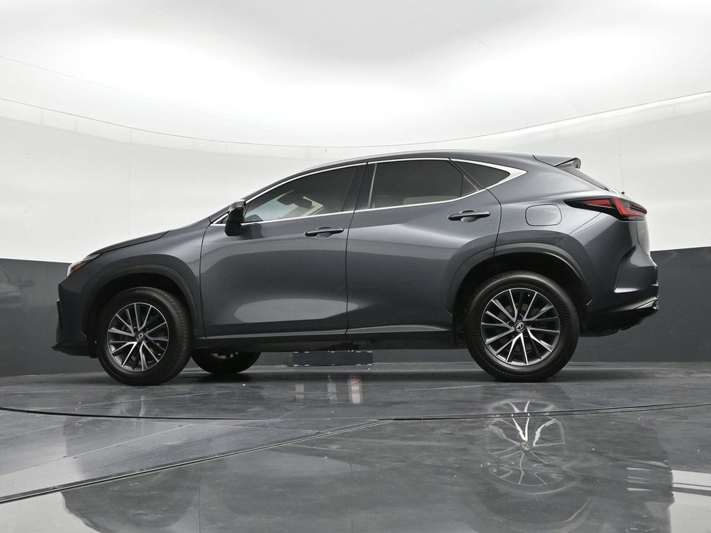 2023 Lexus NX 250 NX 250