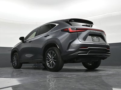 2023 Lexus NX 250 NX 250