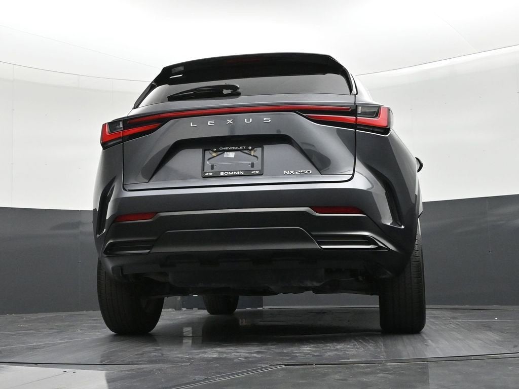2023 Lexus NX 250 NX 250